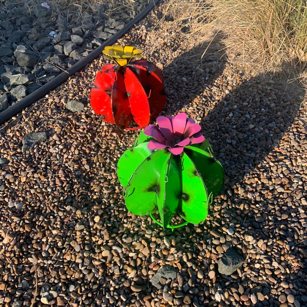Metal Bisnaga Cactus