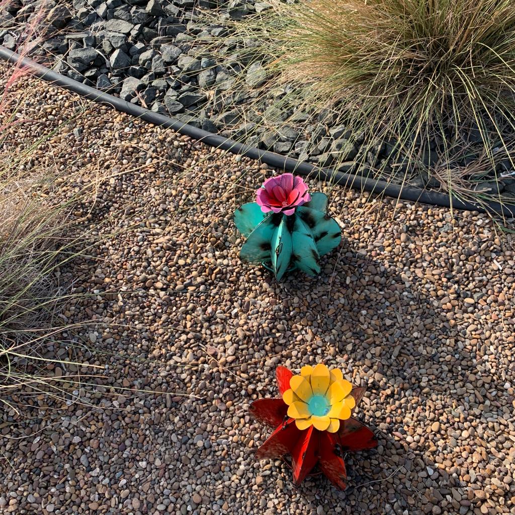 Metal Bisnaga Cactus