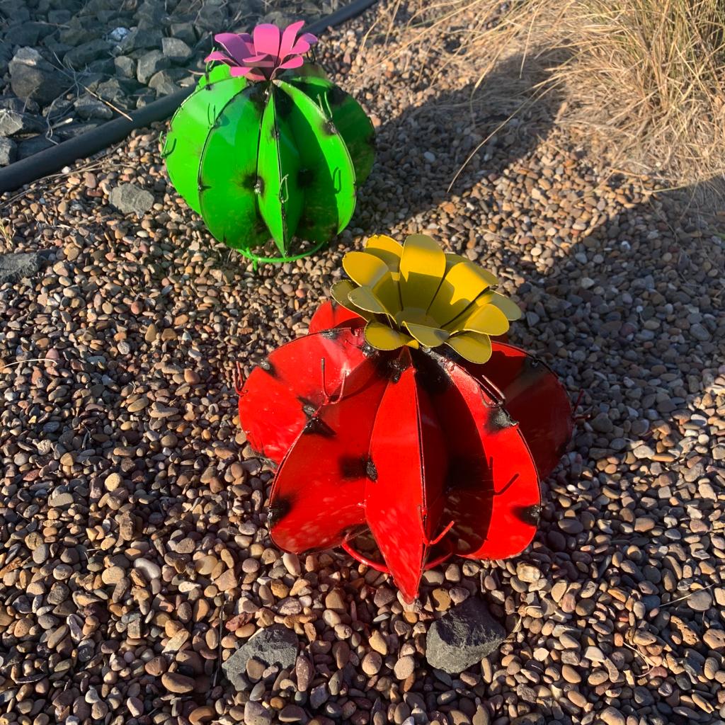 Metal Bisnaga Cactus