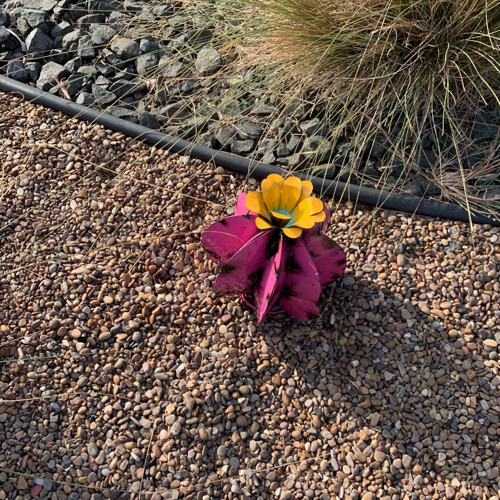 Metal Bisnaga Cactus