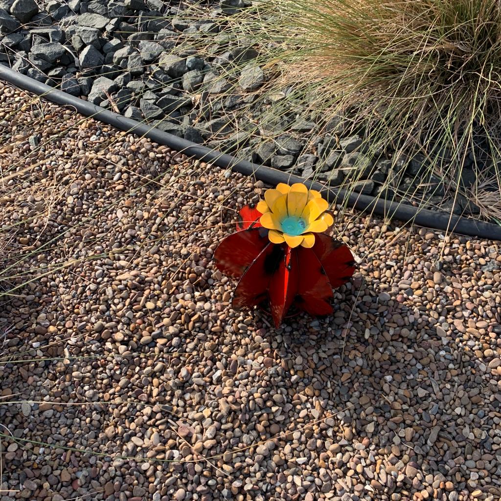 Metal Bisnaga Cactus