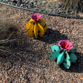 Metal Bisnaga Cactus