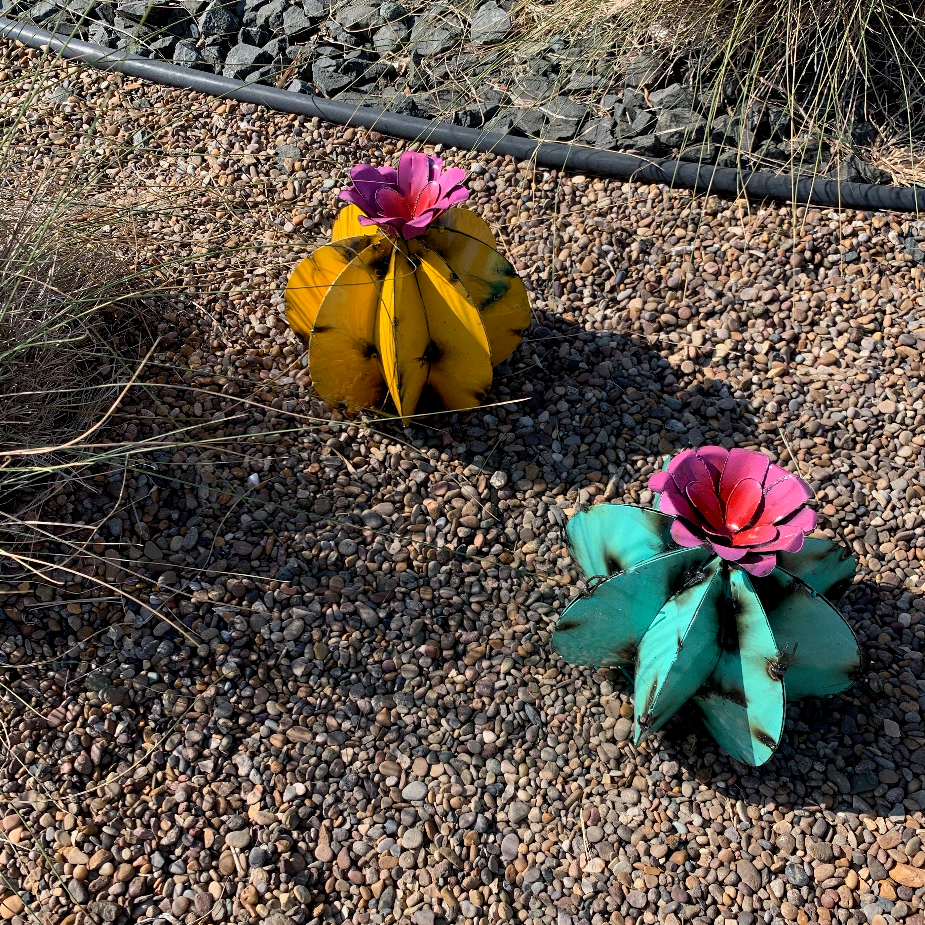 Metal Bisnaga Cactus