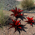 Set of 3 Rustic Red Metal Agave Sculptures – Handmade Southwestern Garden Décor