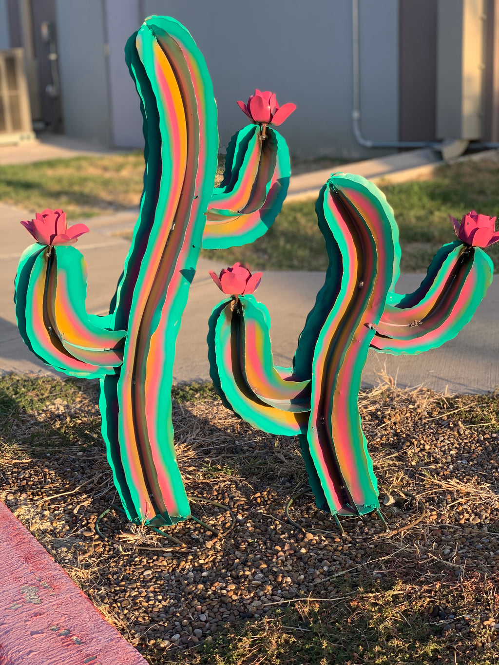 Set of 2 Wavy Rainbow Cactus