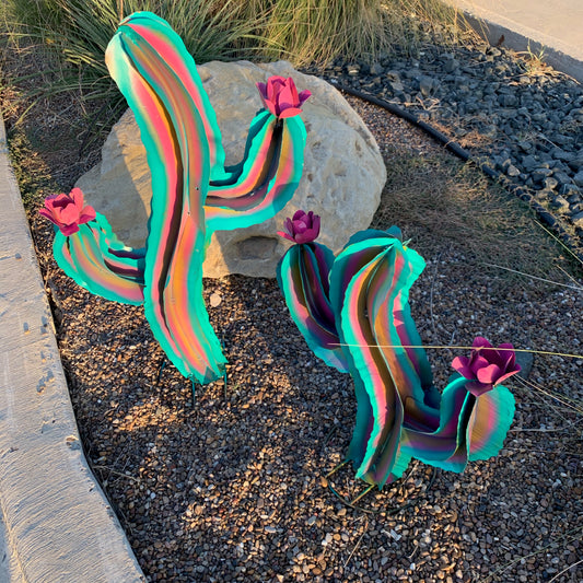 Set of 2 Wavy Rainbow Cactus
