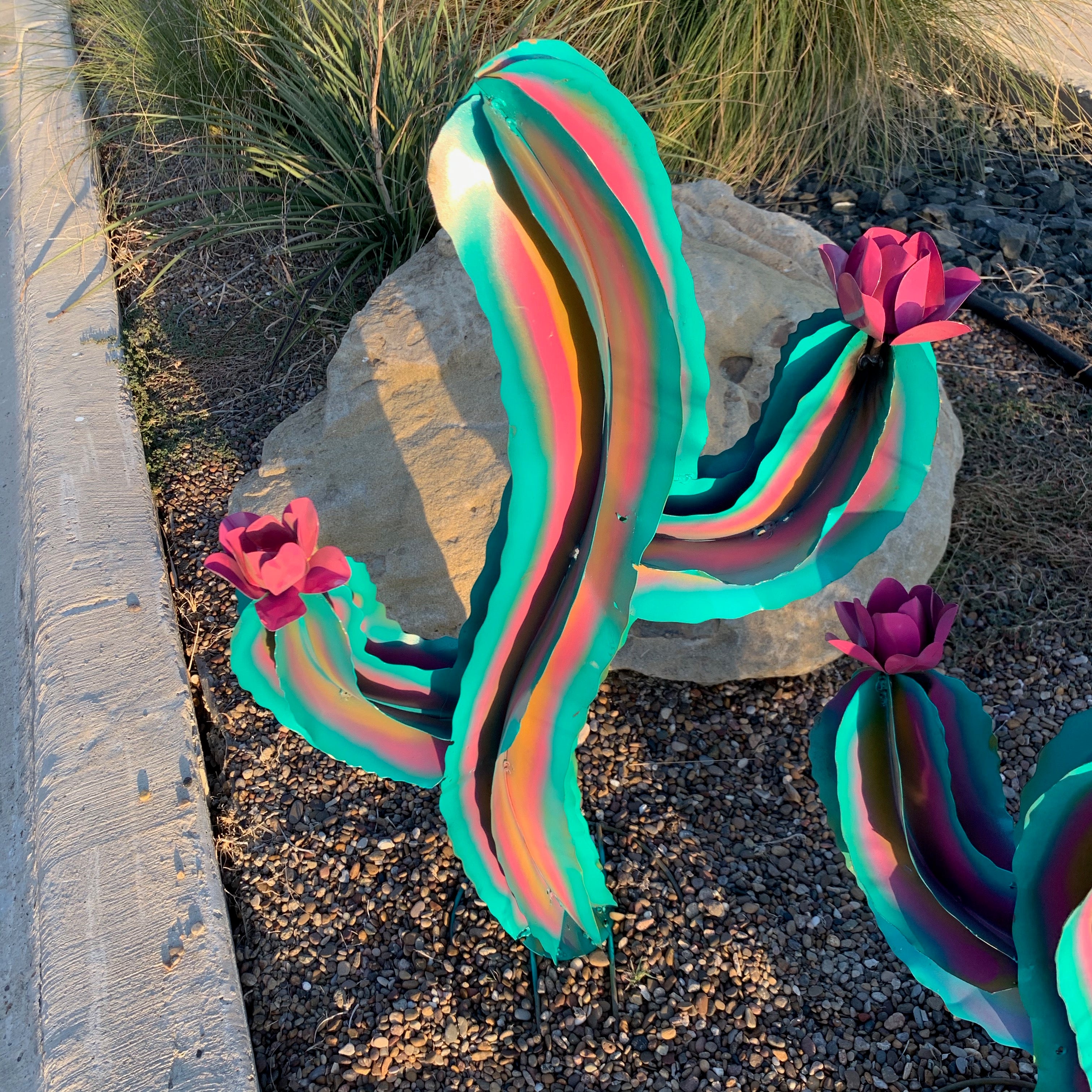 Set of 2 Wavy Rainbow Cactus