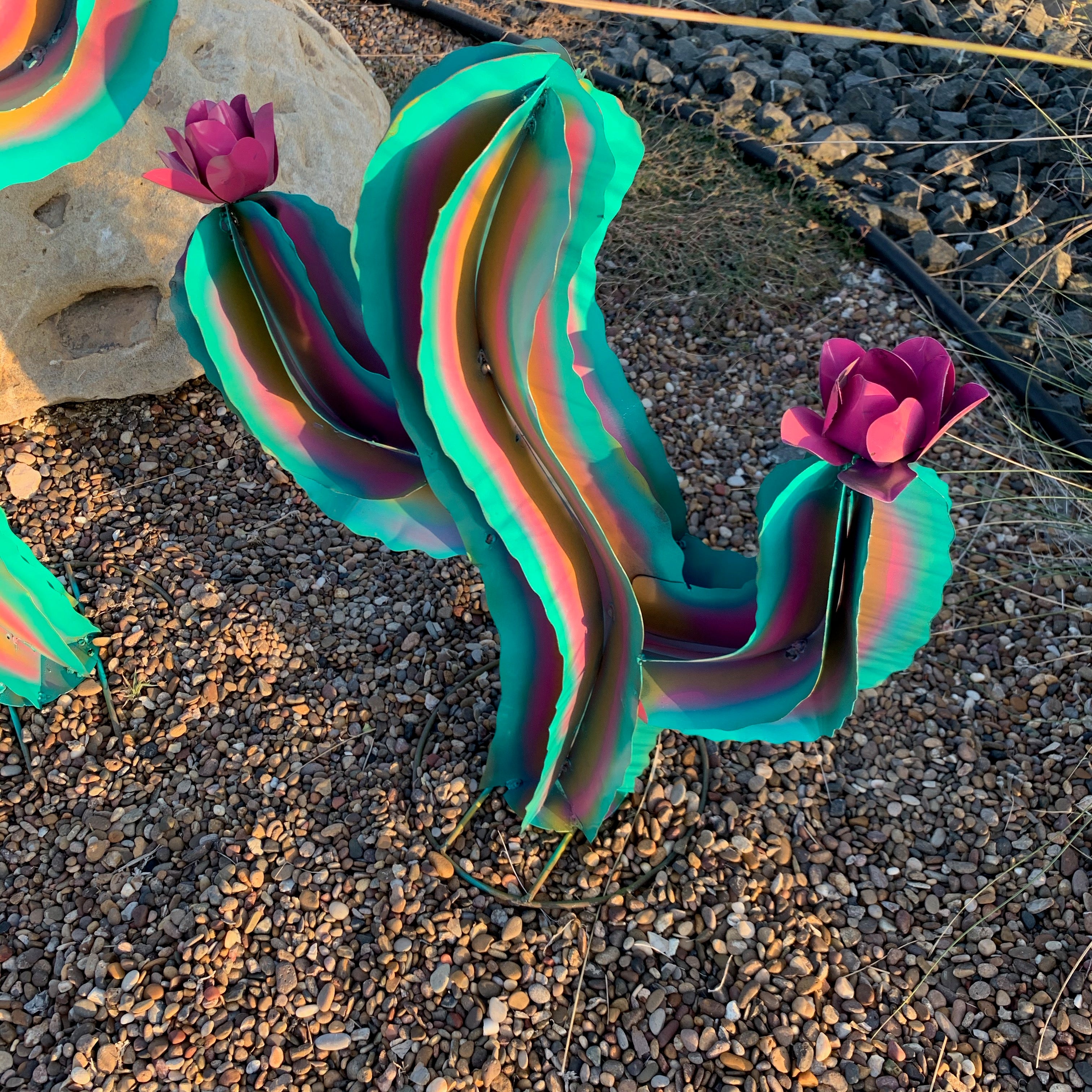 Set of 2 Wavy Rainbow Cactus