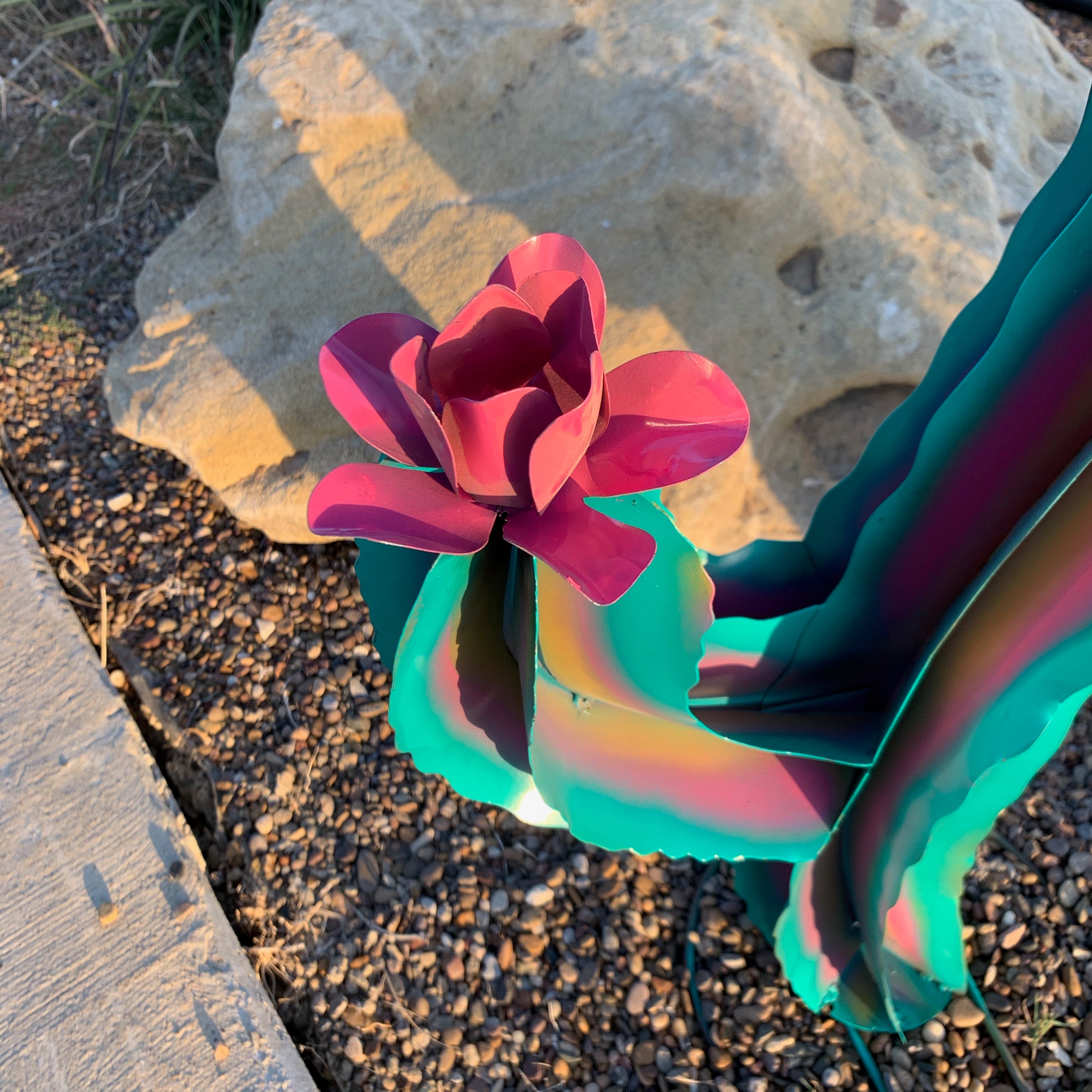 Set of 2 Wavy Rainbow Cactus